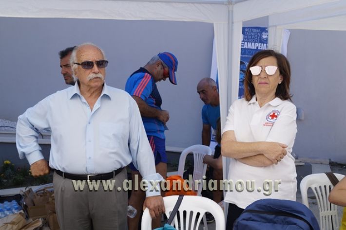 alexandriamou_1_alexandrinos_dromos141